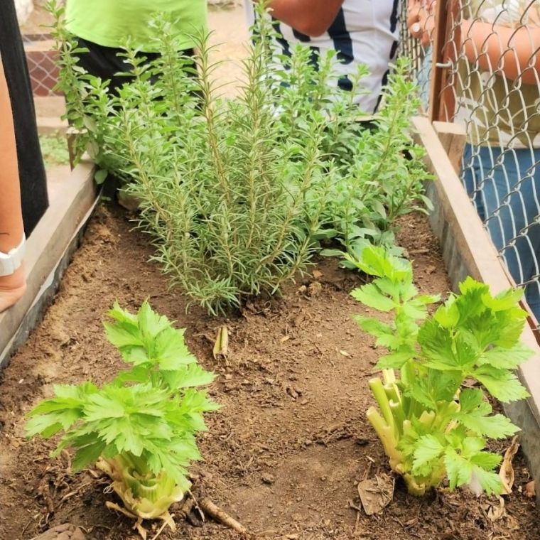 Vista del Inta a Nuestra Ciudad