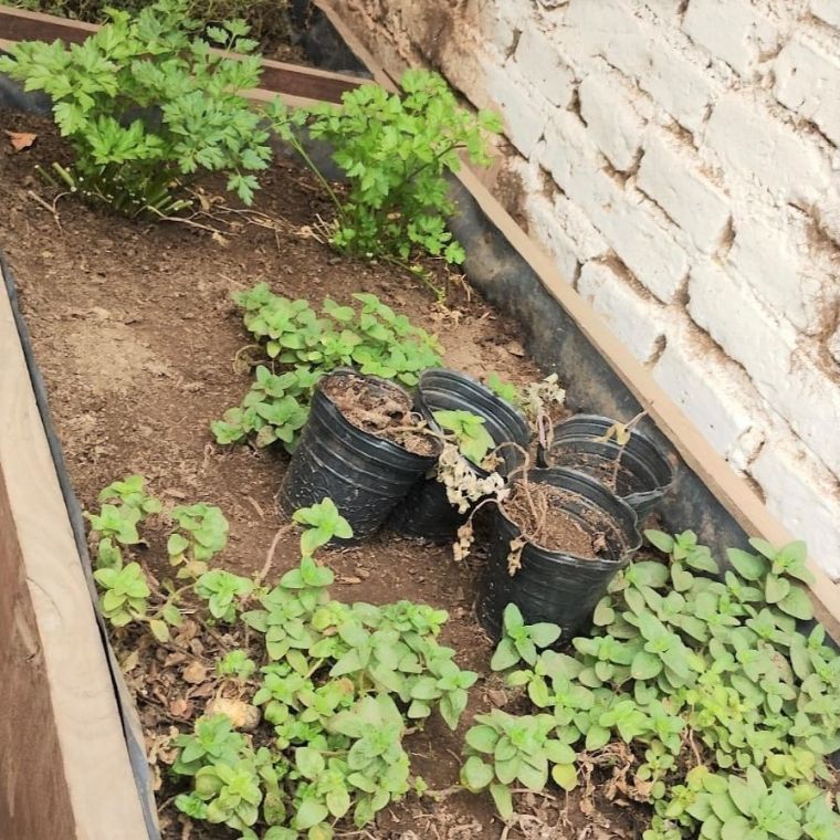 Vista del Inta a Nuestra Ciudad