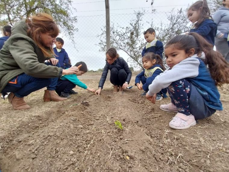 Huerta en el Jardín 25 de Mayo 