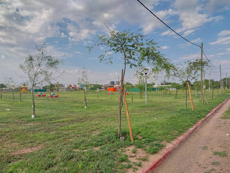 Tareas de mantenimiento en espacios verdes de la ciudad