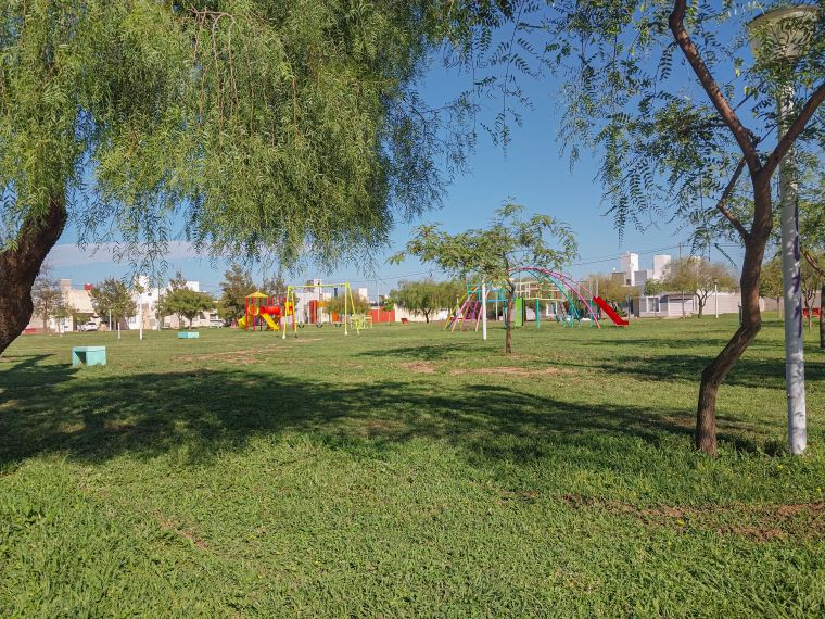 Tareas de mantenimiento en espacios verdes de la ciudad