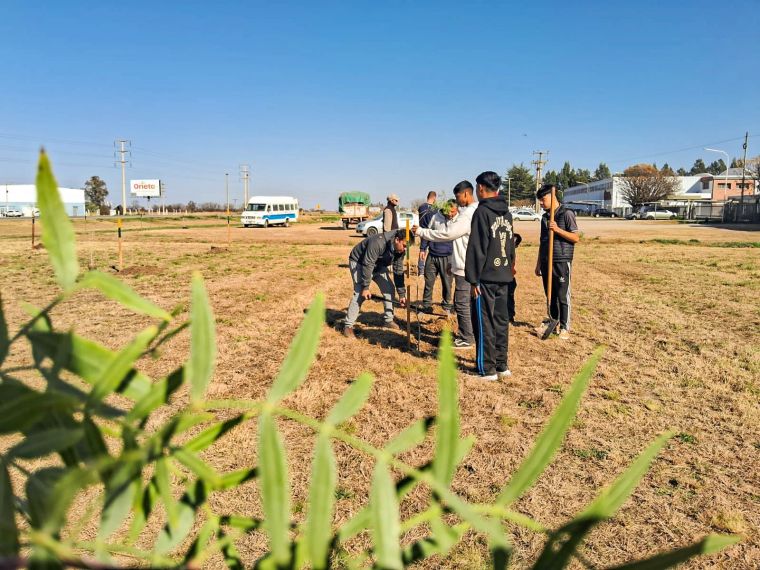 Gran jornada de reforestación en Monte Cristo con la iniciativa “Yo REplanto”
